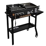 Blackstone 1819 Griddle and Charcoal Combo, Black
